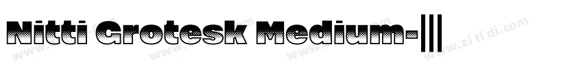 Nitti Grotesk Medium字体转换